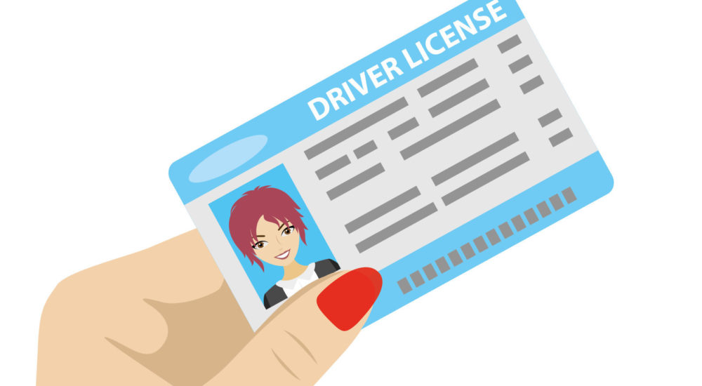 Hand holding driver license with female photo, isolated on white background, cartoon vector illustration